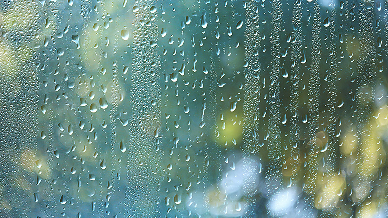 Weatherproof or Waterproof?